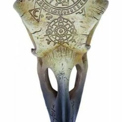 ALCHEMY GOTHIC Omega Raven | SKULL