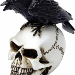 ALCHEMY GOTHIC Raven Skull | MINIATURE*