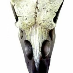 ALCHEMY GOTHIC Small Raven | SKULL