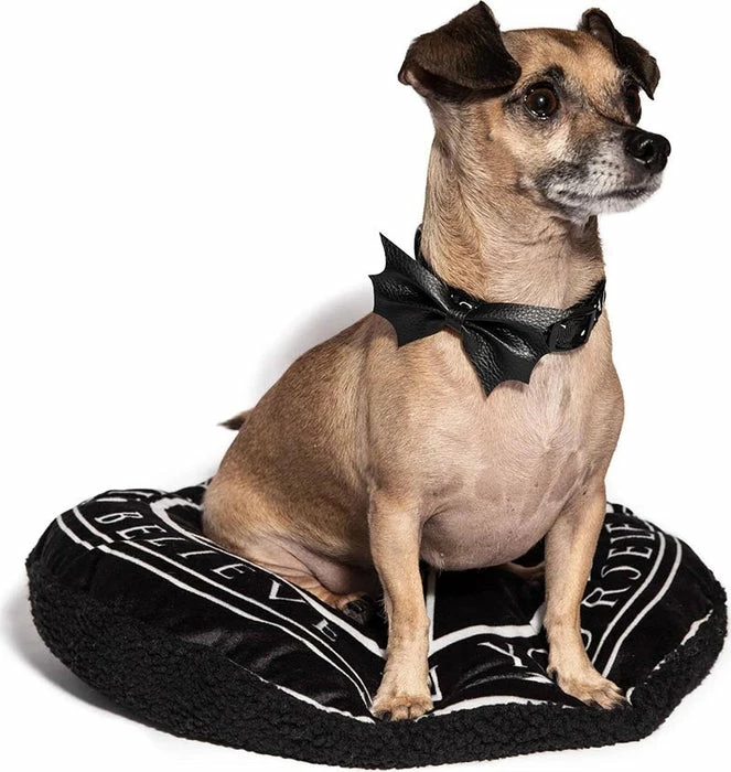 BLACKCRAFT Batwing | DOG COLLAR* - Image 2