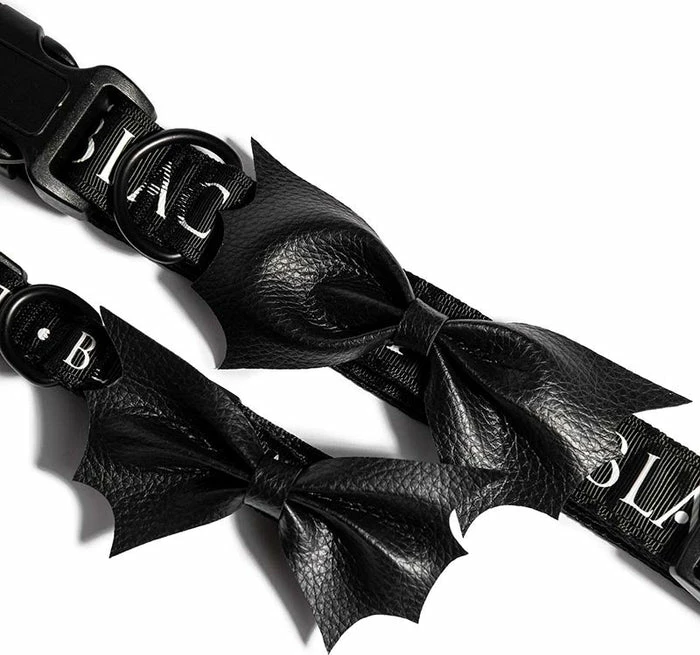 BLACKCRAFT Batwing | DOG COLLAR* - Image 4