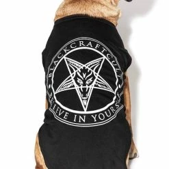 BLACKCRAFT Believe In Yourself | PET TEE**