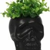 GOTHIC GIFTS Black Skull | PLANT POT