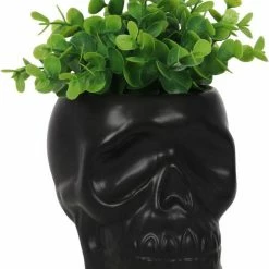 GOTHIC GIFTS Black Skull | PLANT POT