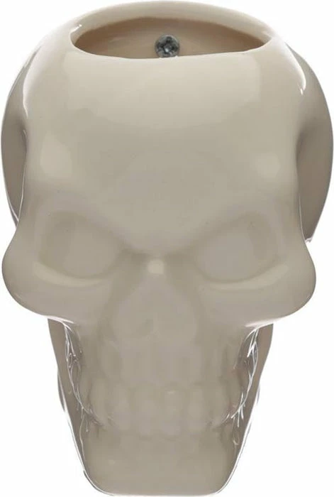 HOMEWARES Ceramic Skull Garden | WALL PLANTER - Image 2