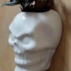 HOMEWARES Ceramic Skull Garden | WALL PLANTER
