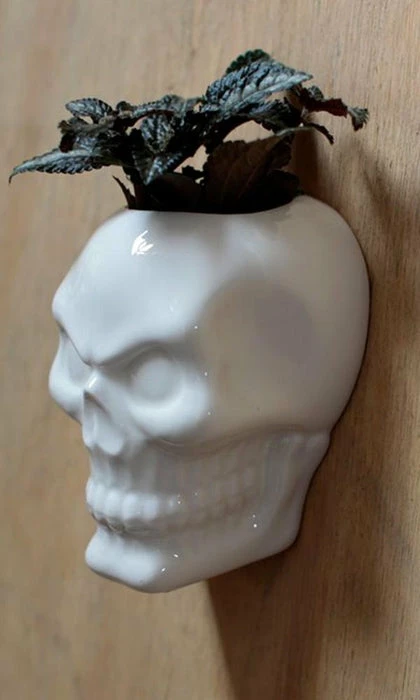 HOMEWARES Ceramic Skull Garden | WALL PLANTER