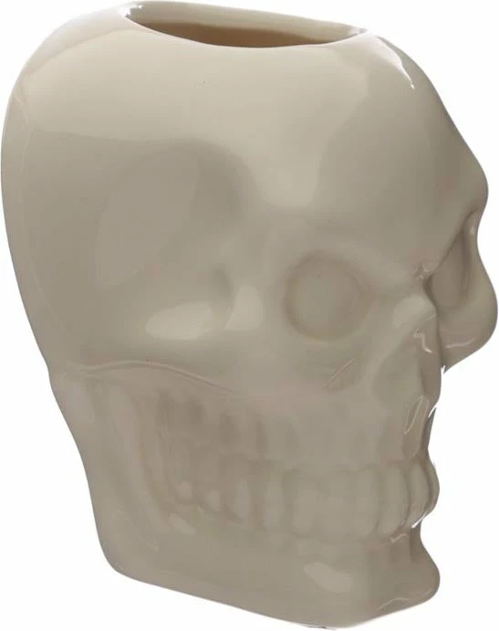 HOMEWARES Ceramic Skull Garden | WALL PLANTER - Image 4