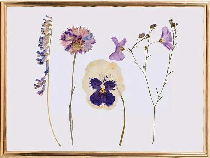 HOMEWARES Classic Flower | PRESS - Image 3