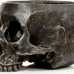 HOMEWARES Skull | GARDEN PLANTER