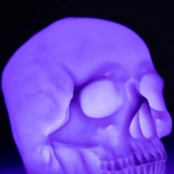 HOMEWARES Skull | SPEAKER