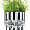 SOURPUSS Poison | CERAMIC PLANTER