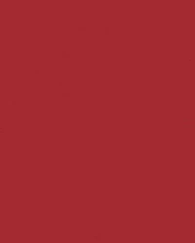 STARGAZER Deep Red | SEMI-PERMANENT LIP LINER - Image 2