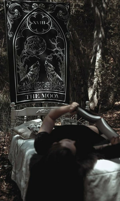 THE PRETTY CULT The Moon | TAPESTRY - Image 5